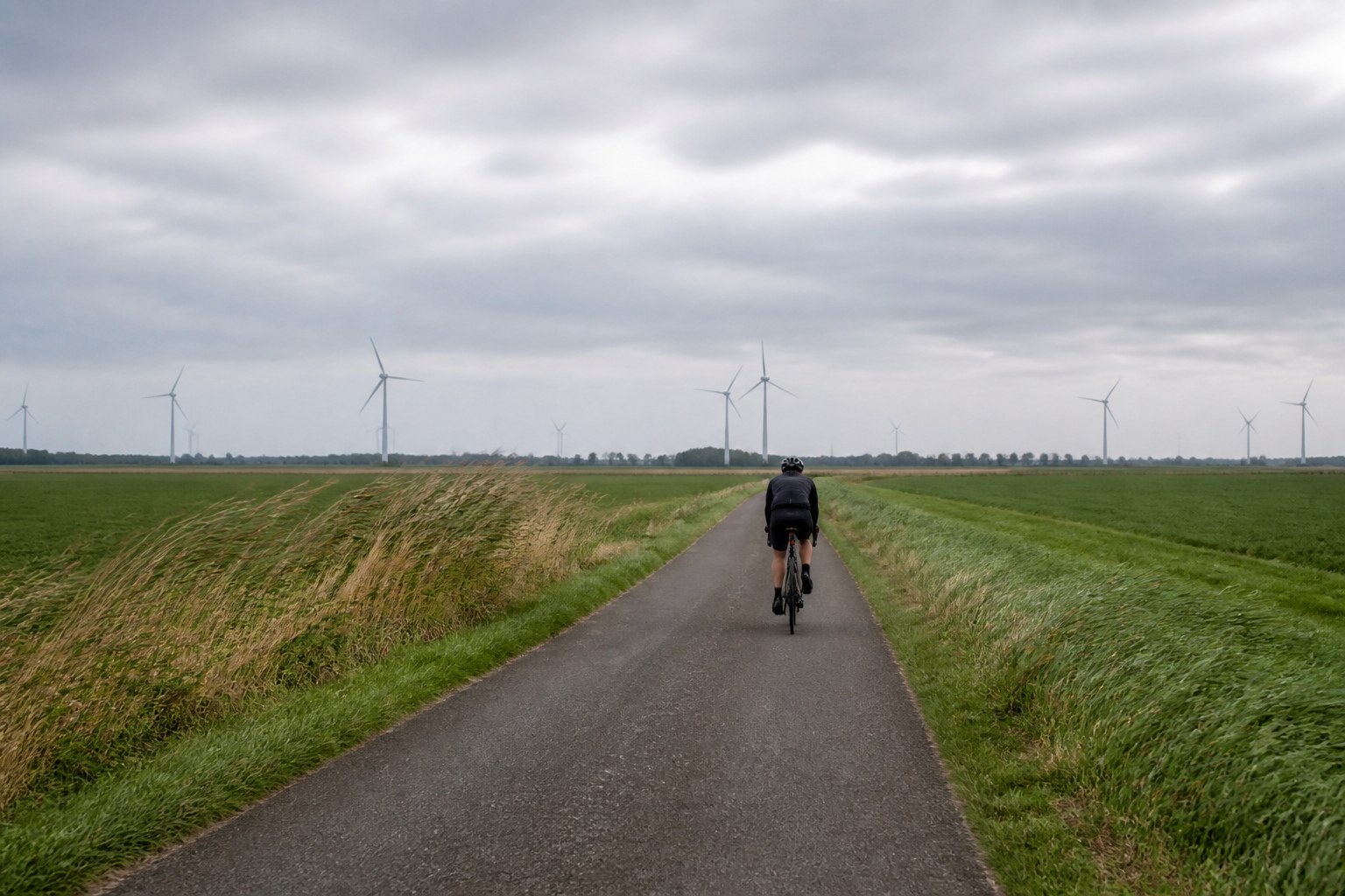 Eenzame wielrenner op een smalle polderweg met windmolens aan de horizon onder een grijze lucht